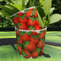FRAGOLE Cachepot Grande / Cachepot Large