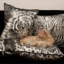 TIGRE Cuscino quadrato / Squared Cushion