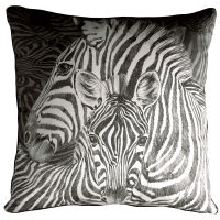 ZEBRA Cuscino quadrato / Squared Cushion