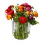 Ваза Coloured DeLight Windlicht 15 см 1173011580