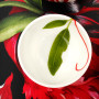 Ciotolina / Pinch Pot