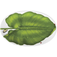 Portata Ovale / Oval Platter