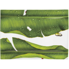 Portata Rettangolare / Rectangular Platter