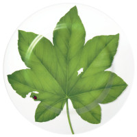 Portata rotondo - Segnaposto / Round platter - Chop