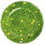 Portata rotondo - Segnaposto / Round platter - Chop
