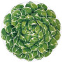  Блюдо круглое 25 см.Portata Rotondo - Segnaposto / Round Platter - Chop 5-5-6