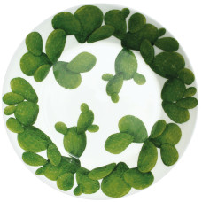 Ciotola - Insalatiera grande / Large Bowl