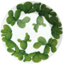 Ciotola - Insalatiera grande / Large Bowl