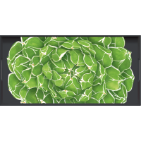 Vassoio Rettangolare - Rectangular Tray