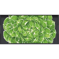 Vassoio Rettangolare - Rectangular Tray