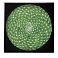 Vassoio Quadrato - Square Tray