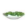 Fondo - Coupe Soup